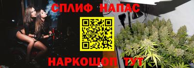 мет Новозыбков