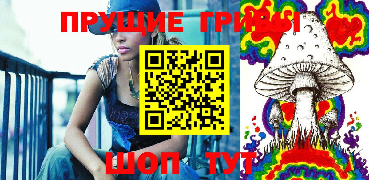 Псилоцибиновые грибы Cubensis  Вход с VPN  Псилоцибиновые грибы Psilocybe  Хабаровск 